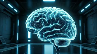 Unlocking the Past: A Scientific Journey Through Memory