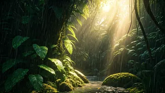 Rain Makes These Hidden Places Absolutely Stunning