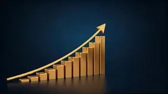 Indian Stocks: What Are The Potential Gains?
