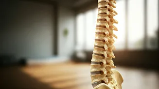 Yoga For Healthy Ageing Inspires Smart Spinal Health Movements