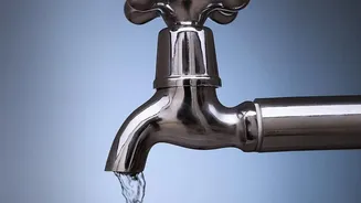 Planning For A Rental-Home Maintenance Calendar Starts With Leaks And Damp Spots And Drains