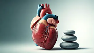 Trainers Want Basics, Not Detox Theatre