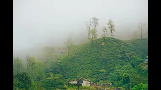 Tamil Nadu's Valparai is having its monsoon moment — and Bengaluru's catching on