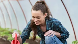 Seasonal Gardening Encourages Urban Plant Lovers To Adjust Care As Temperatures And Rainfall Change