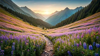 Flower Trails Are The Quiet Traveller’s Dream
