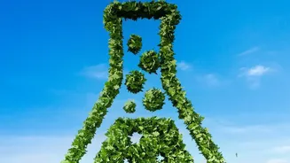 AI Tools Are Helping Scientists Understand Environmental Change