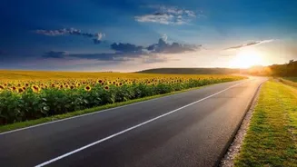 Related Stories banner