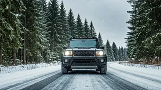 Snowy Road Mishaps: What Viral Videos Teach Us