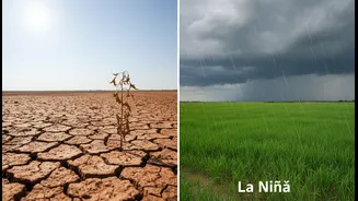 Why El Niño And La Niña Matter Before Monsoon Season