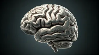 Unveiling Your Mind: Overthinking or Not?