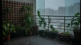 Heavy Monsoon Showers Are Testing Balcony Gardens Like Never Before