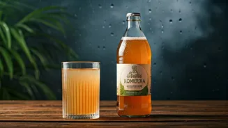 Kombucha Vs Kanji: Choosing Your Monsoon Wellness Drink