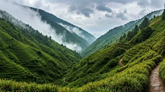 North India's Rainy Escapes Beat City Life