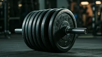 Ranbir Kapoor's Fitness Transformation: The Grind