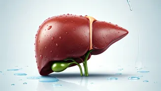 Improve Liver Health With These Morning Habits
