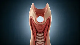 Beyond the Snore: Unmasking Obstructive Sleep Apnea and Restoring Your Rest