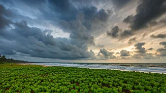 Moody Skies Give Goa A Softer Travel Mood