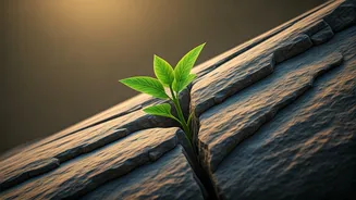 Related Stories banner