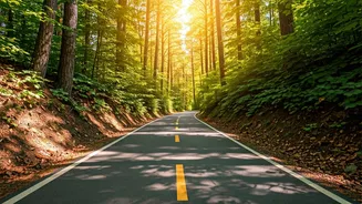 Walking Pace: Your Guide to Calorie Burn