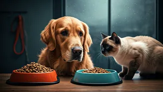 Pets Need Better Food Planning When Walks Shrink