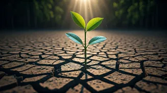 Ayesha Curry on Resilience: Embracing Failure and Building a Legacy with Stephen's Support