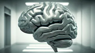 5 Habits for a Sharp Brain After 40