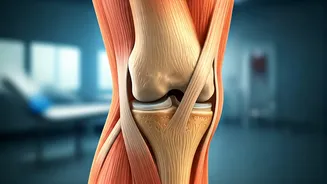 Knee Care: Ortho Doctor-Approved Tips for Longevity