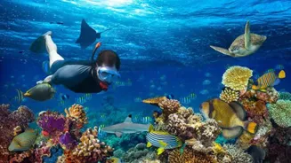 Top spots for freshwater snorkeling in Africa