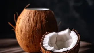 Plant-Based Acoustic Panels Made Of Coconut Husk Replace Plastic Wall Foam Solutions