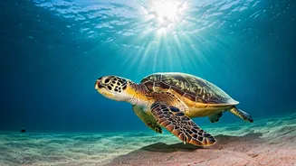 Sea Turtle 'Slaps' Diver: A Bizarre Underwater Encounter Goes Viral