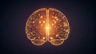 Mango's Secret Power: Unlocking Enhanced Memory and Focus with Mangiferin