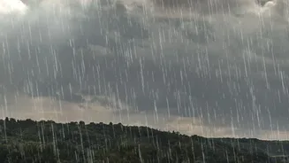 How To Plan Around Heavy Rain Without Automatically Cancelling Every Trip