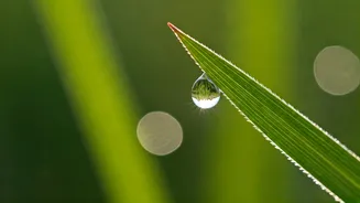 Microbreaks boost focus and well-being