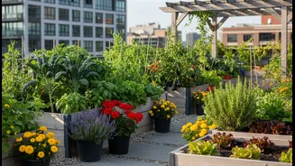 Terrace Cooling Gardens Combine Sustainable Living With Seasonal Gardening Benefits