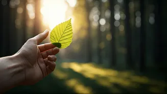 Work-Life Chaos Needs Short-Haul Green Breaks