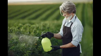 Understanding Crop Insurance Options for Farmers