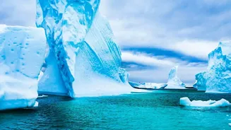 A New Antarctica Study Brings Long-Term Ice Loss Into Focus