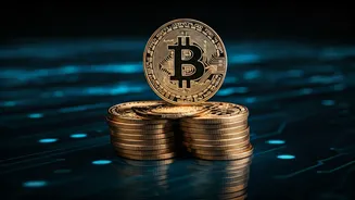 Crypto's Rise: Decoding the Digital Currency Revolution