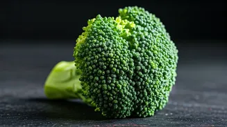 Broccoli Dishes: 9 Delicious Dinner Recipes