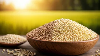 Millet Trends Continue Beyond Special Diets