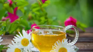 Refreshing Cold Herbal Teas That Make Reaching Daily Water Targets Super Easy