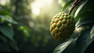 Globetrotting for Grub: 10 Exotic Fruit Trees to Discover on Your Next Botanical Adventure