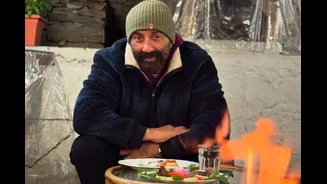 What Ails Sunny Deol? His Best Films & More