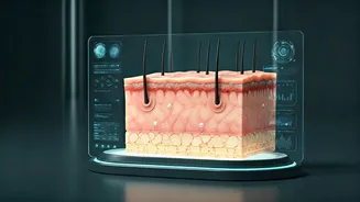 Related Stories banner