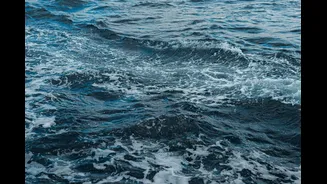 Tropical Sea Surface Temperature Variability Predicted to Decline Post-2050