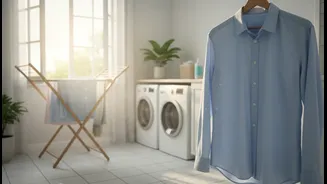 A Fresher Flat Begins With Less Damp Fabric Left Indoors