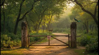 Indian Wildlife Travellers, Families and Rail Enthusiasts Can Avoid Mistakes by Checking Park Closures