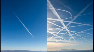 A Direct Route May Reduce Connections But Increase Dependence On One Schedule