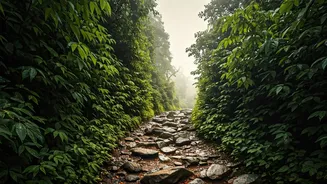 Western Ghats Survival Playbook: Lonavala To Mahabaleshwar Guide