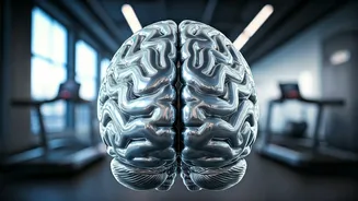 Exercise Weekly to Boost Memory and Brain Power